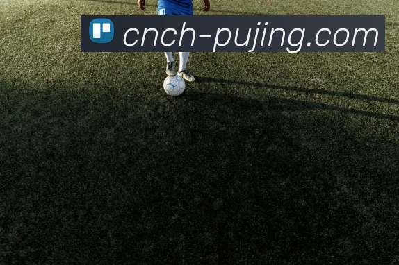 新葡京官网全站App